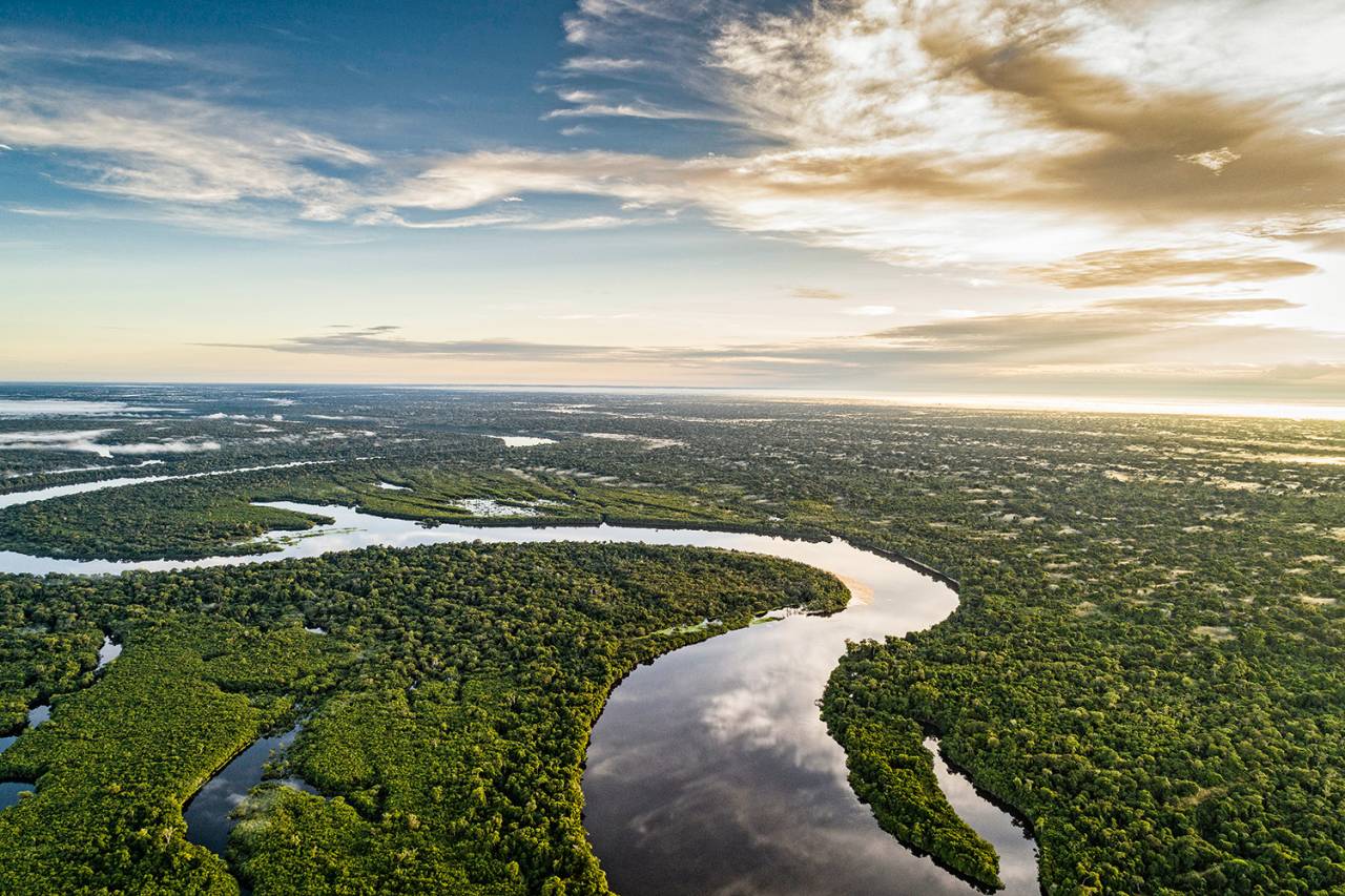 amazônia