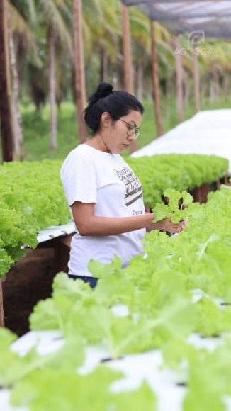 Bioeconomia no Amazonas se destaca como alternativa para um futuro sustentável - SEDECTI Bioeconomia JaneMacielLeao Divulgacao 1 576x1024 1