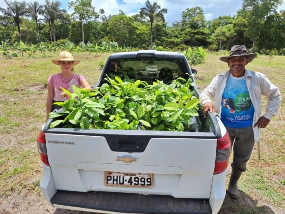 Produção de café no Amazonas deve atingir a marca de 2,2 mil toneladas em 2025 - producao cafe idam 2 1024x768 1 Produção de café no Amazonas deve atingir a marca de 2,2 mil toneladas em 2025 - producao cafe idam 2 1024x768 1
