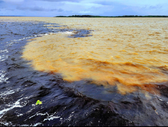 "Fui imediatamente tocado pela grandiosidade da natureza"
