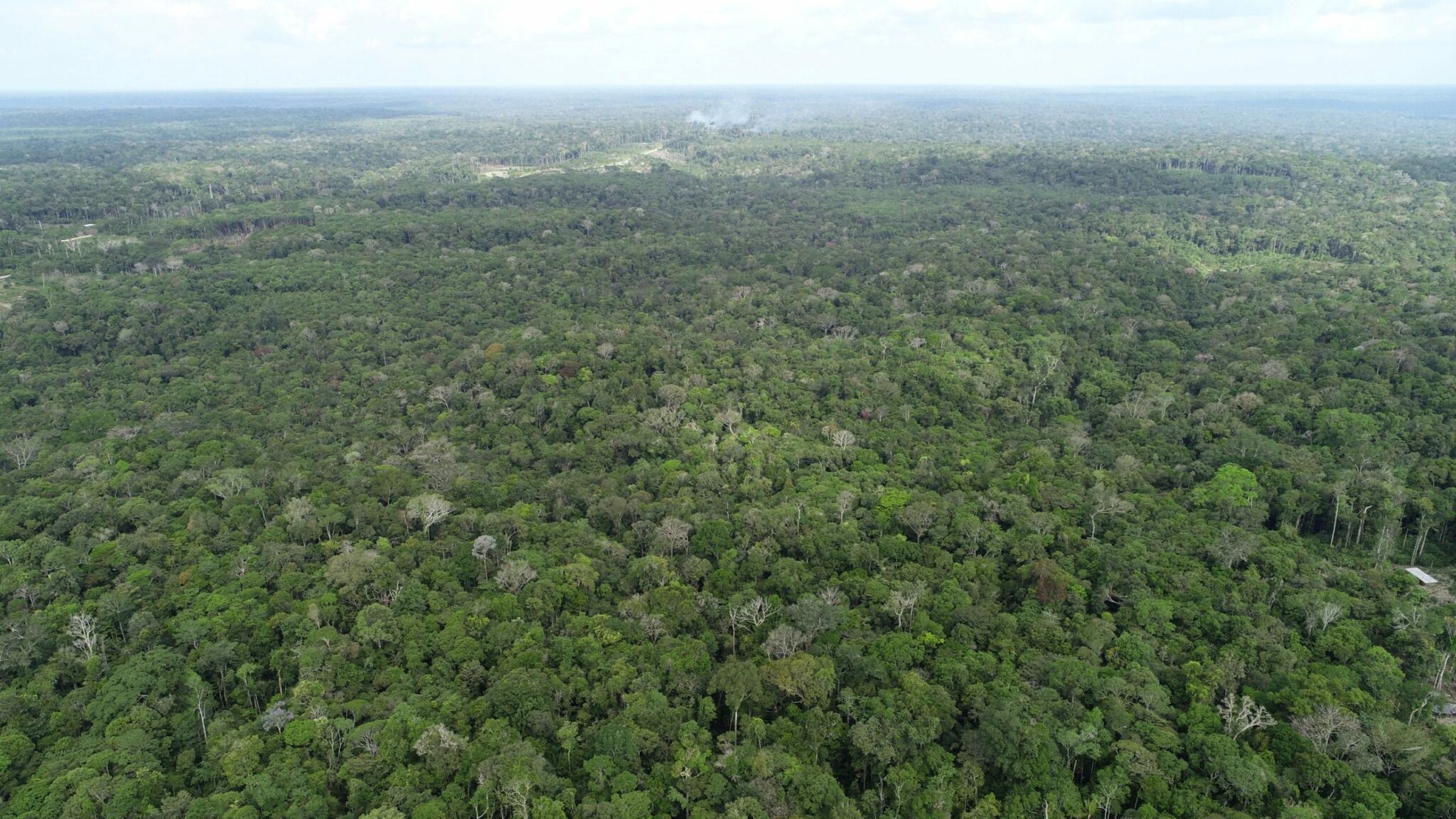 (Foto: arquivo / Ipaam)
