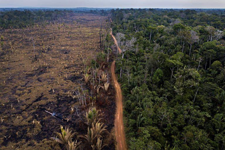 Área desmatada na APA Rio Pardo no limite com a Floresta Nacional do Bom Futuro, em Rondônia. (Foto: Lalo de Almeida)