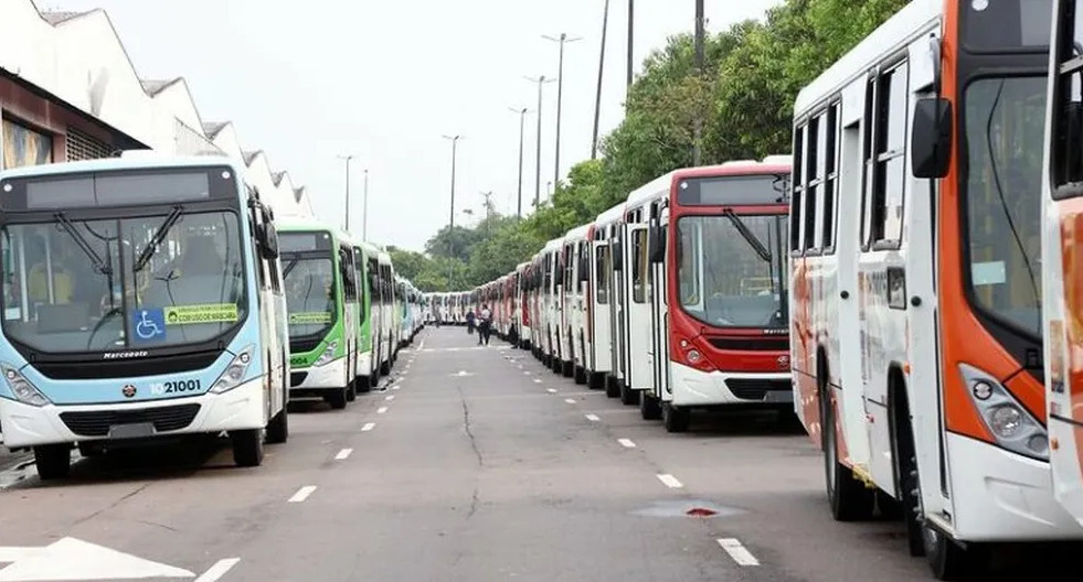(Foto: Divulgação / IMMU)