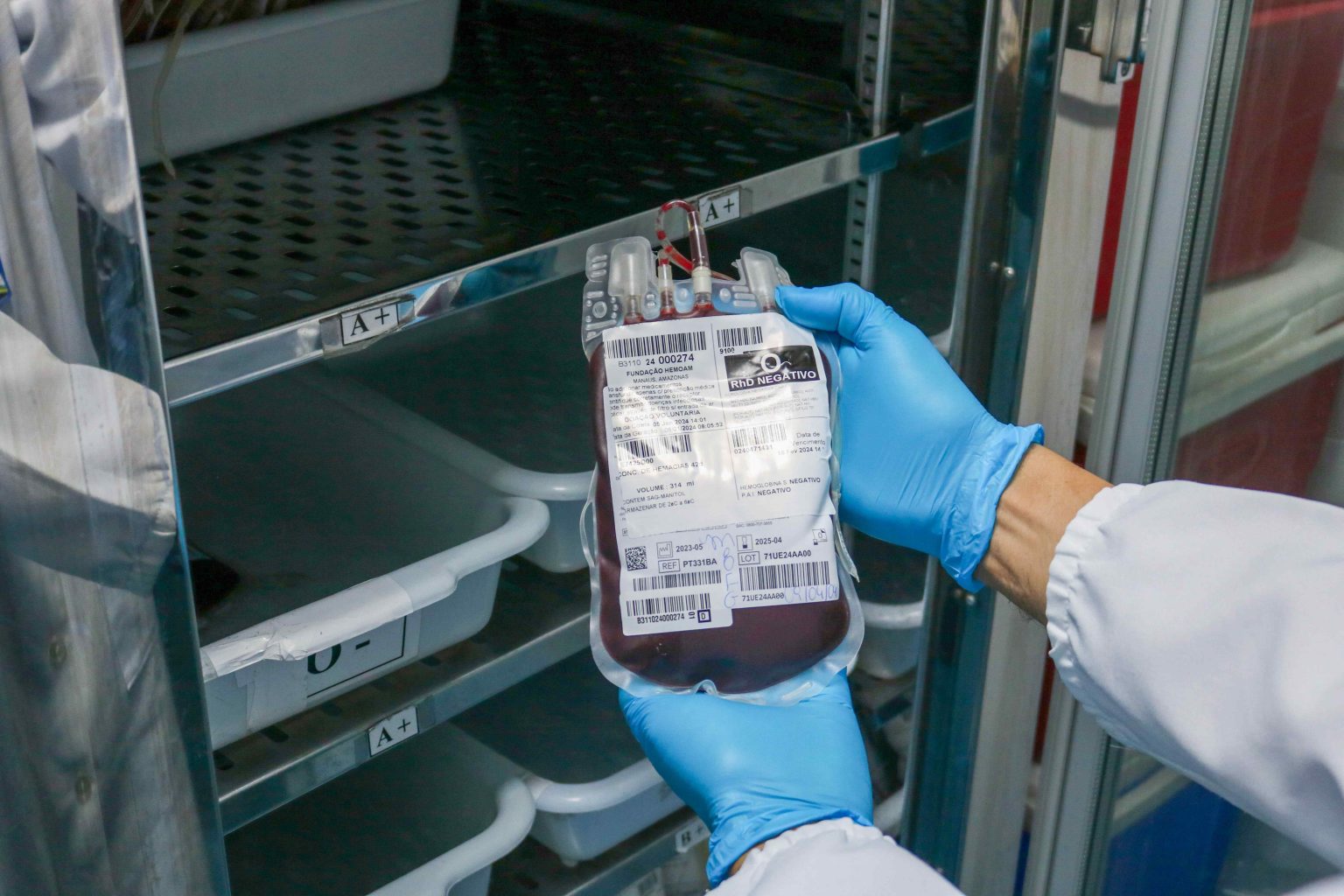 FOTO: Rafael Marques/Hemoam