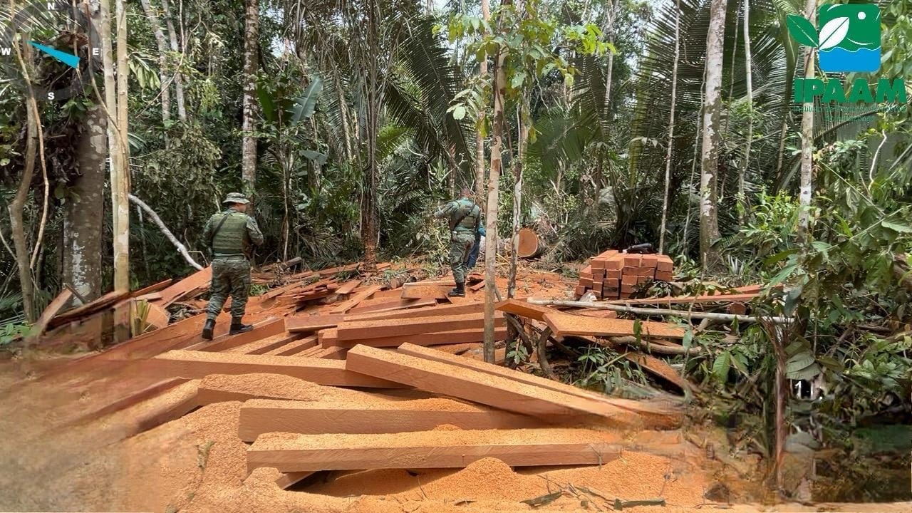(Foto: Divulgação /Ipaam)