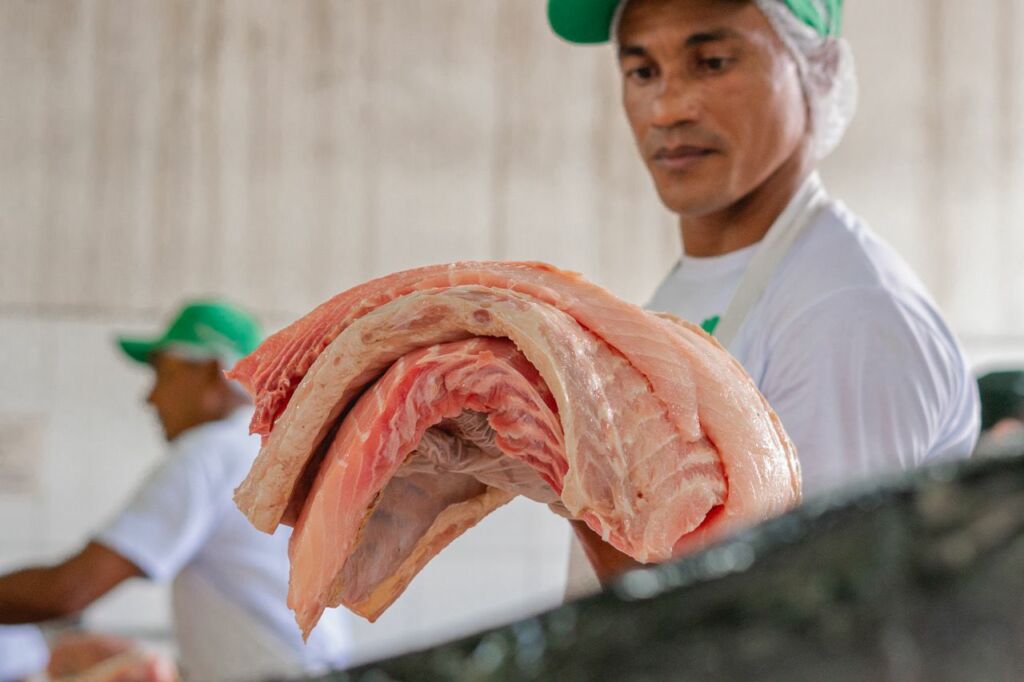 (Foto: Divulgação)