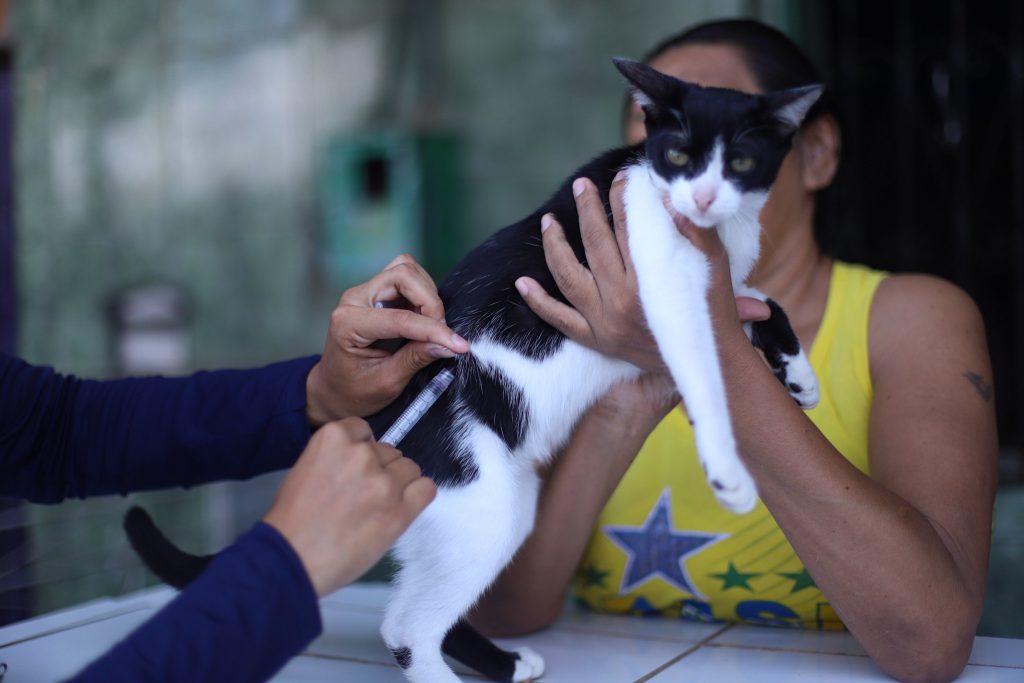 Foto- Divulgação / Semsa