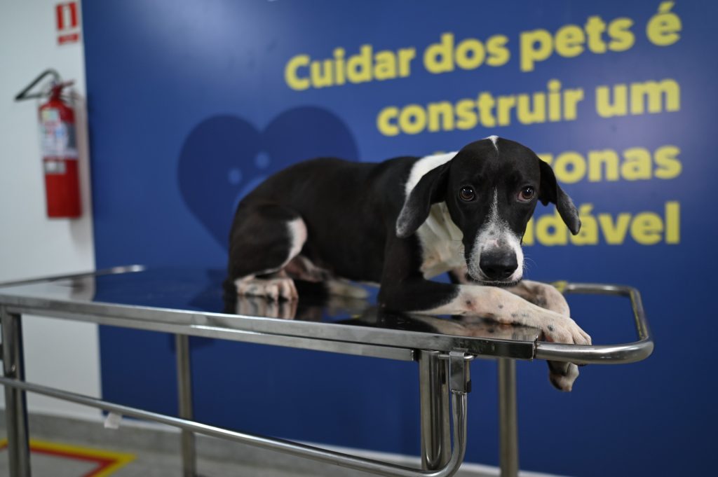 Foto: Divulgação/Sepet