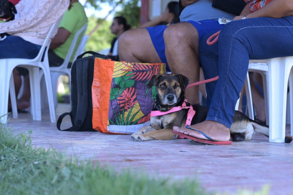 Foto: Divulgação/Sepet