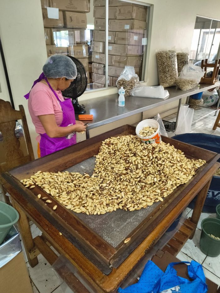 Fotos: Divulgação/Idam