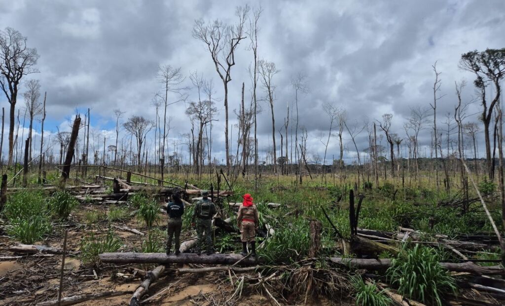 (Foto: Divulgação/Ipaam)