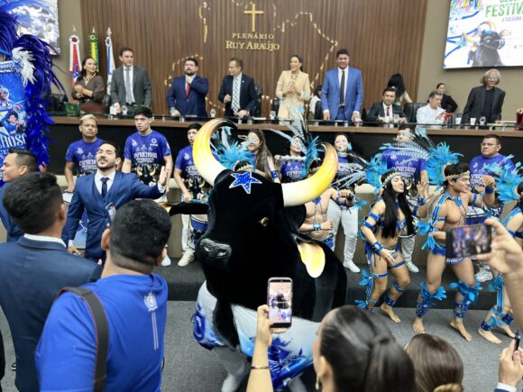 Boi bumbá caprichoso evoluindo, acompanhado da marujada de guerra. (Foto: Augusto Ikuro)
