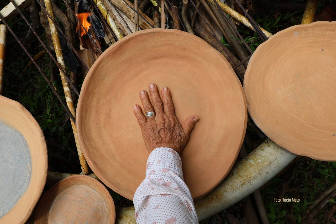 Fotografia na Amazônia: imagens preservam a vida e a biodiversidade das Reservas Mamirauá e Amanã, no Amazonas - mamiraua 4 Fotografia na Amazônia: imagens preservam a vida e a biodiversidade das Reservas Mamirauá e Amanã, no Amazonas - mamiraua 4