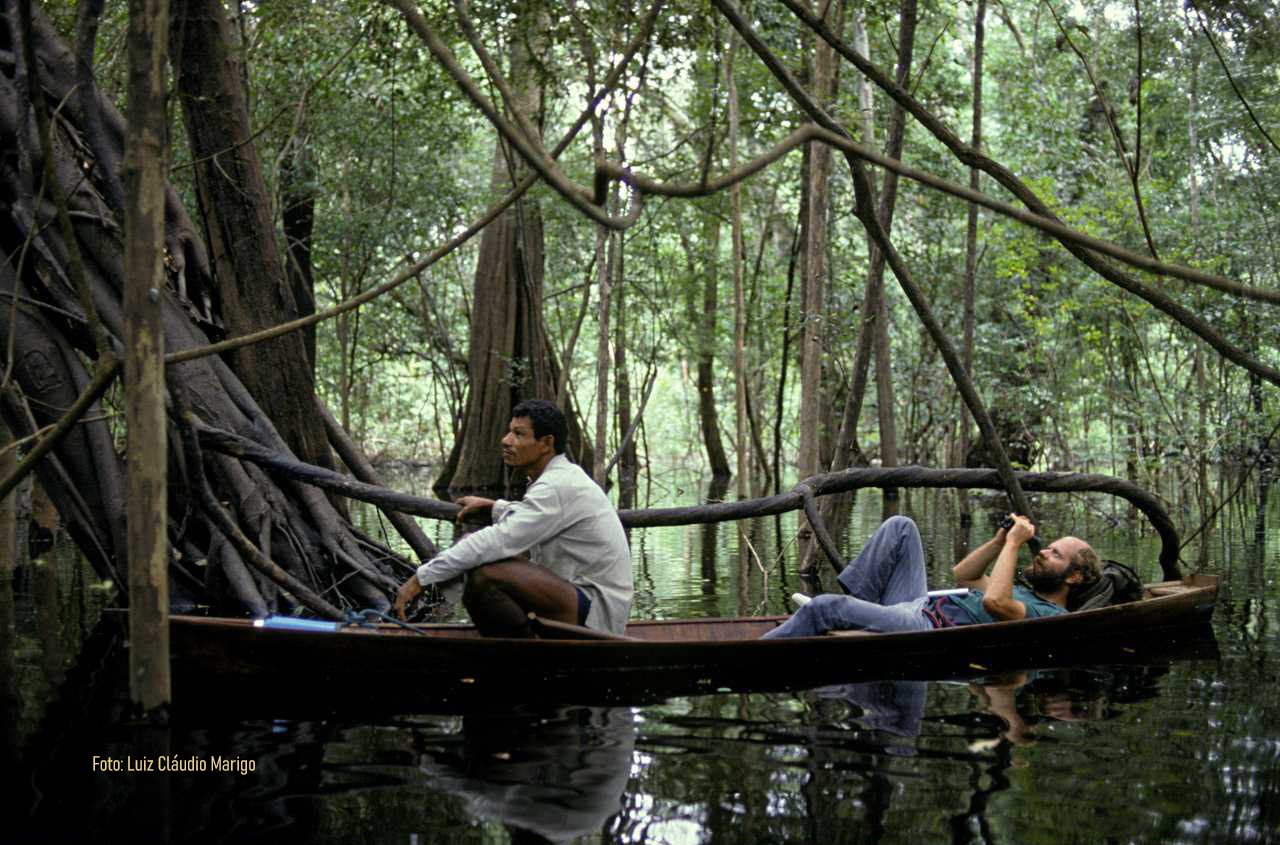 Fotografia na Amazônia: imagens preservam a vida e a biodiversidade das Reservas Mamirauá e Amanã, no Amazonas - mamiraua2 Fotografia na Amazônia: imagens preservam a vida e a biodiversidade das Reservas Mamirauá e Amanã, no Amazonas - mamiraua2