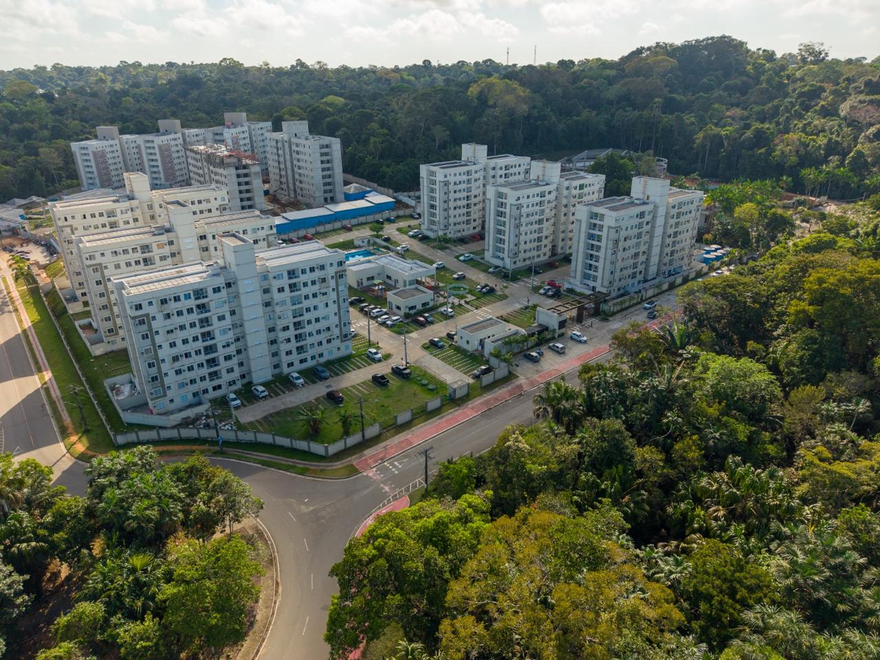 dia da amazônia