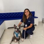 cachorrinho