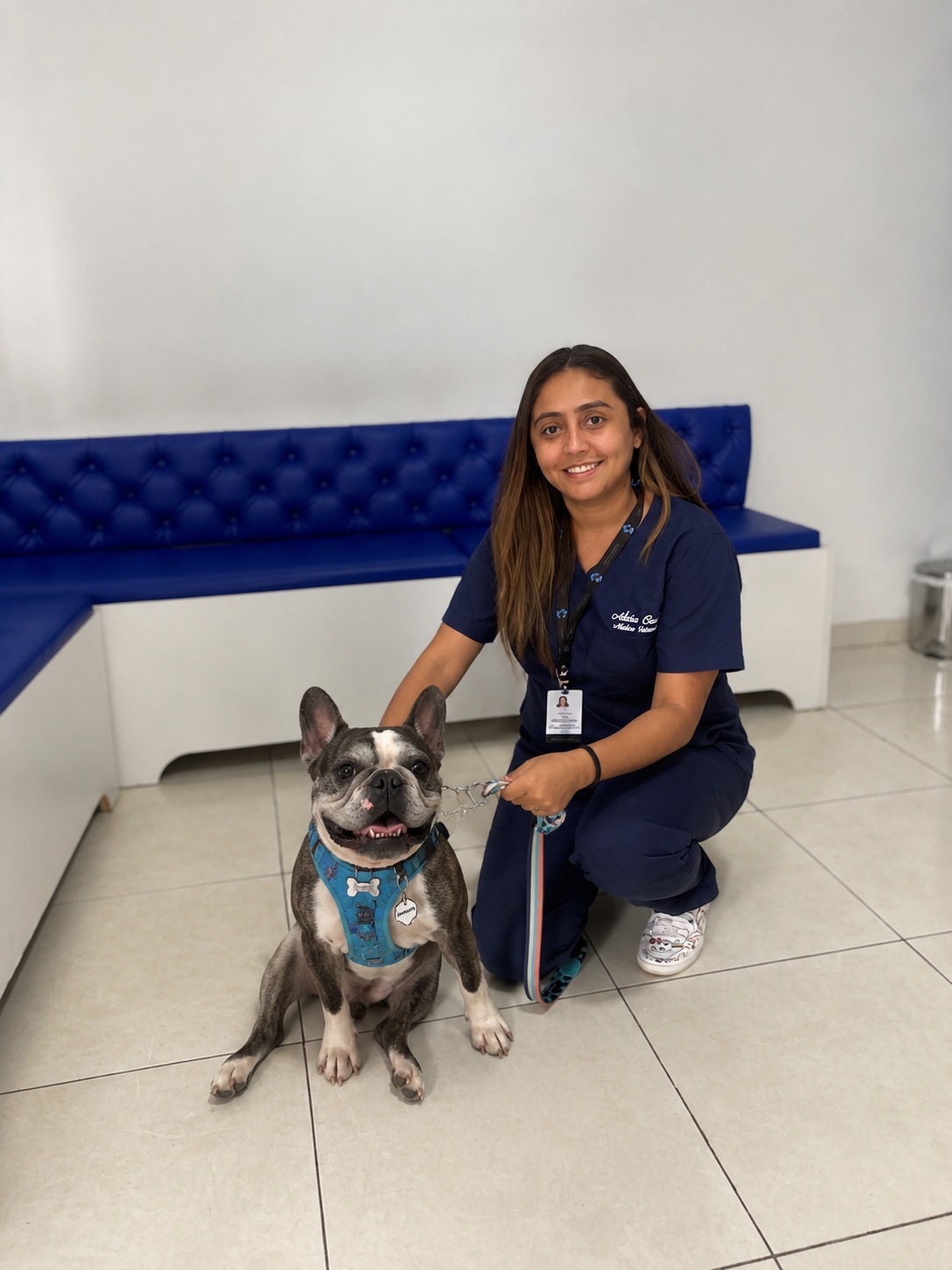 cachorrinho