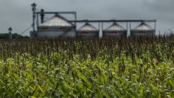el nino agricultura