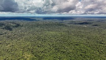 Cientistas destacam importância do bioma para toda a América do Sul
(Rafa Neddermeyer/Agência Brasil)