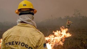 Após pico de 494 focos há 10 dias, estado contabiliza 188 focos ativos
(Foto: Ibama/Divulgação)