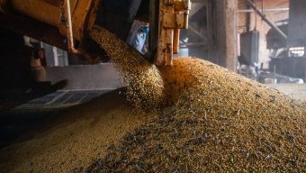 Crescimento se dá, principalmente, pelo aumento da área plantada
(Foto:  CNA/Wenderson Araujo/Trilux)