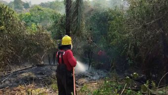 incendios-manaus