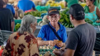 Eram 10,7 milhões de trabalhadores nessa condição em 2025, mostra IBGE
 (Rafa Neddermeyer/Agência Brasi)