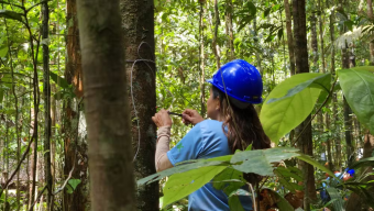 pesquisa-em-floresta-do-amapa-